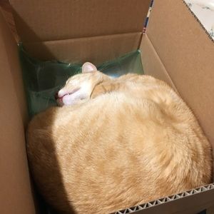 Meet your Posher, Linda